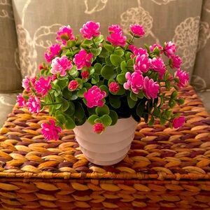 Faux pink plant 🌱